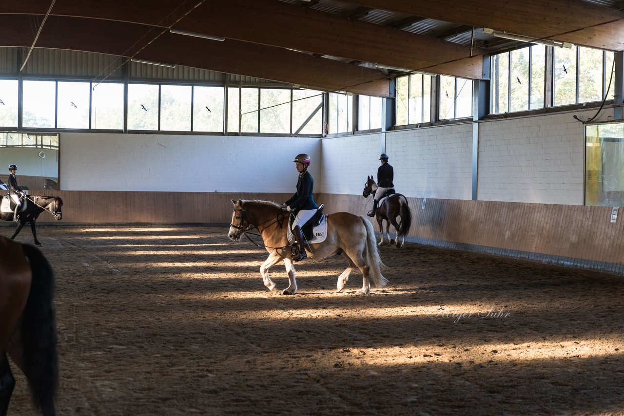 Bild 6 - Pony Akademie Turnier